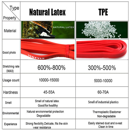 Latex Exercise Bands Set – Resistance Loops for Toning & Stretching